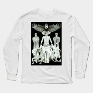 The Royal Cult of Surgeons: Creating New Surgeons Long Sleeve T-Shirt